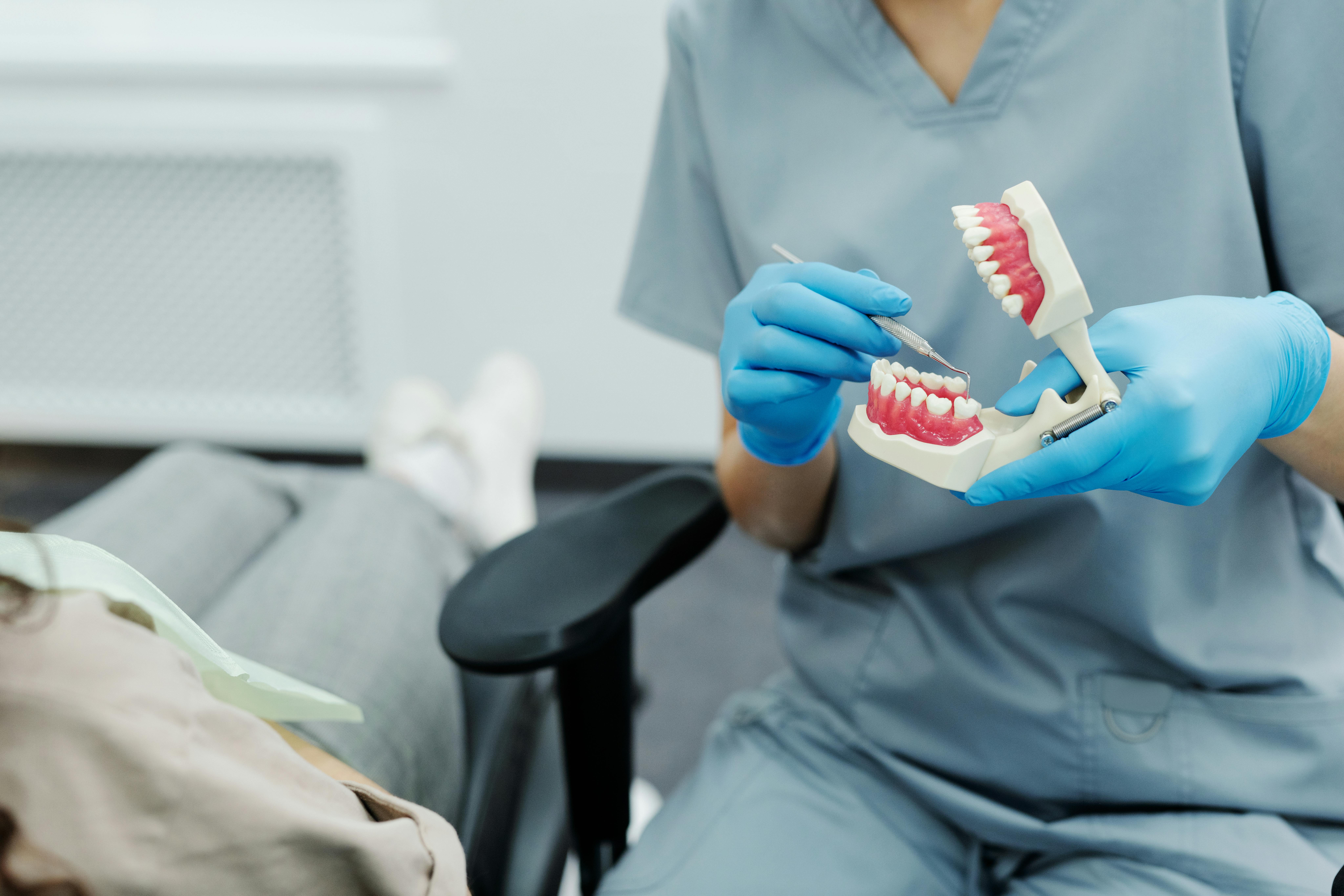 Photo Dentist Holding Teeth Model And Dental Tool During Consultation Is A Dental Bridge Falling Out An Emergency Discussion With Patient