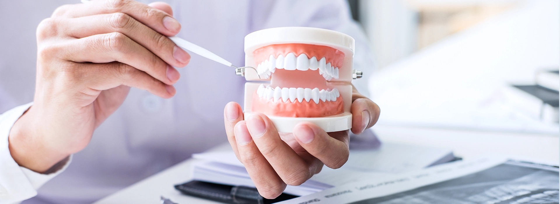 Photo Close Up Of Dentist Holding Anatomical Teeth Model And Tool Demonstrating Preventive Care Program